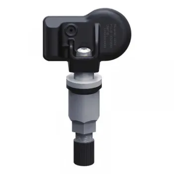 10 RDKS (TPMS) Sensoren